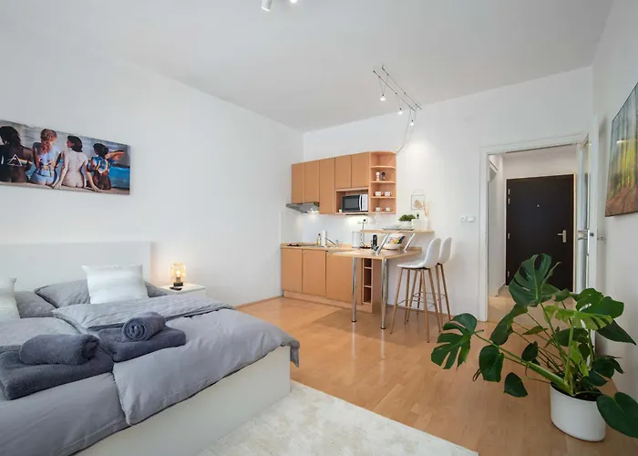 Appartement Location Air-conditioned *